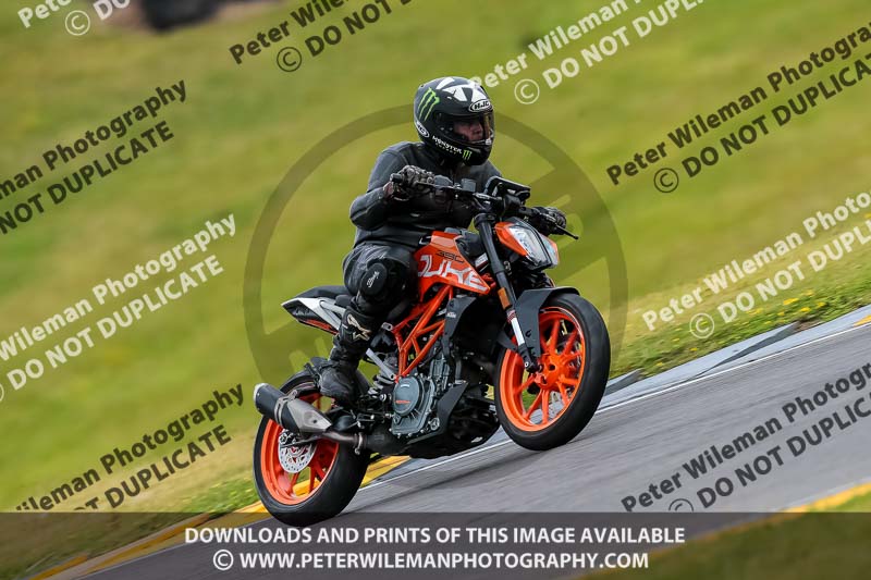 PJ Motorsport 2019;anglesey no limits trackday;anglesey photographs;anglesey trackday photographs;enduro digital images;event digital images;eventdigitalimages;no limits trackdays;peter wileman photography;racing digital images;trac mon;trackday digital images;trackday photos;ty croes